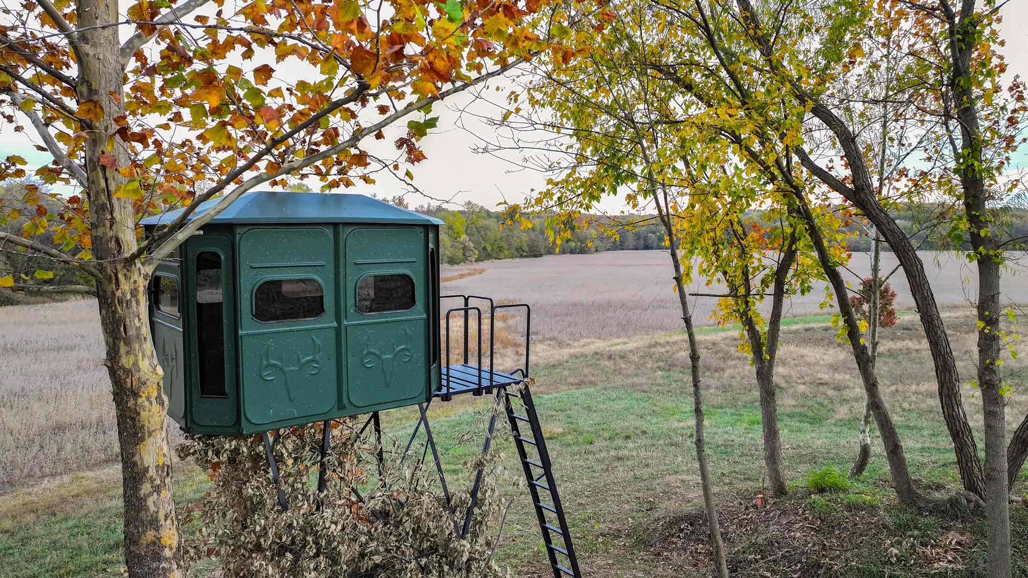 Elevated box hunting blind in tree at field edge — Red Bird Ranch