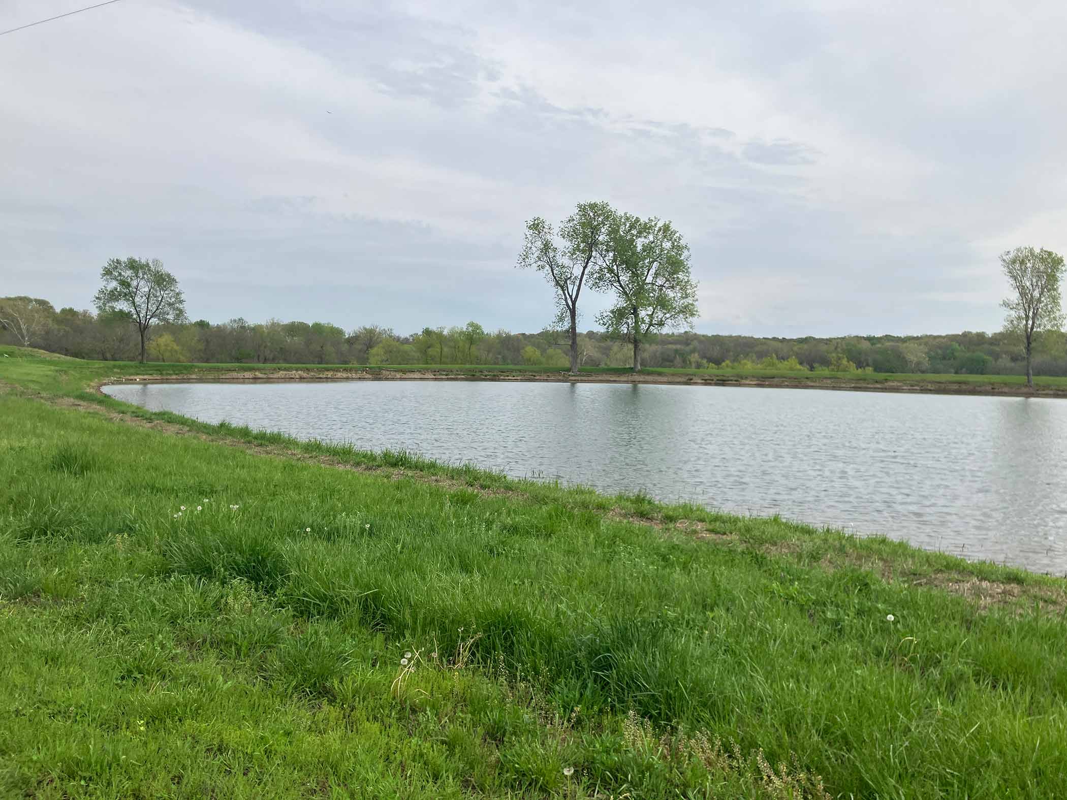 The stocked fishing lake at Red Bird Ranch — green grass foreground, tree line, soft overcast sky