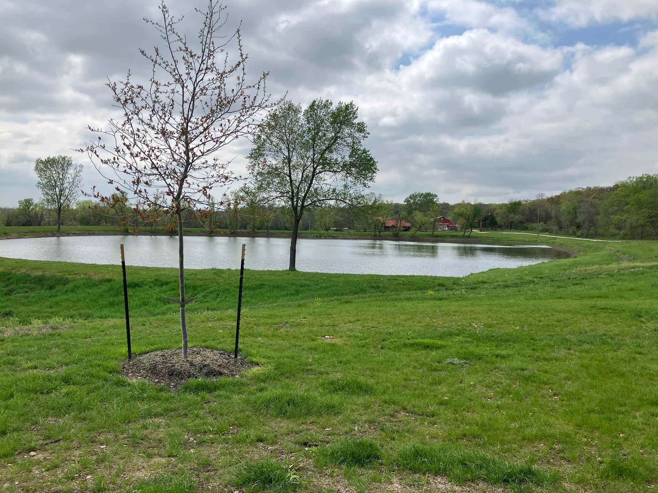 Conservation wetland and stocked lake at Red Bird Ranch