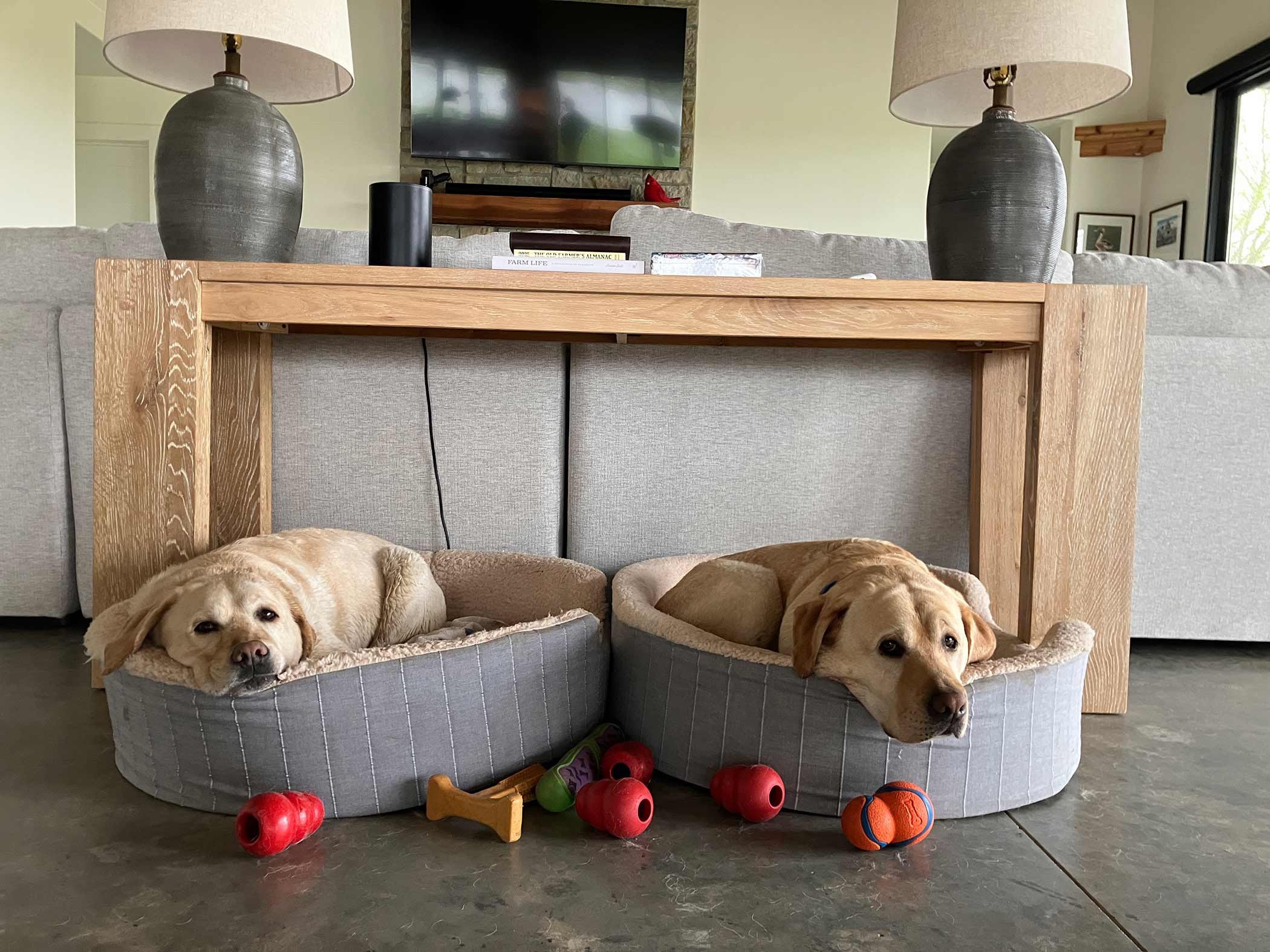 Two ranch dogs relaxing in the Red Bird Ranch living room — stone fireplace and timber trusses behind