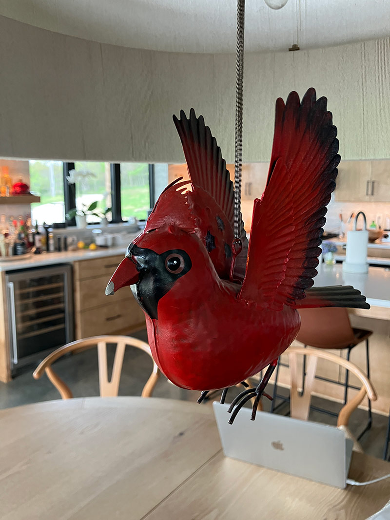 Red cardinal sculpture hanging from ceiling — the brand icon of Red Bird Ranch